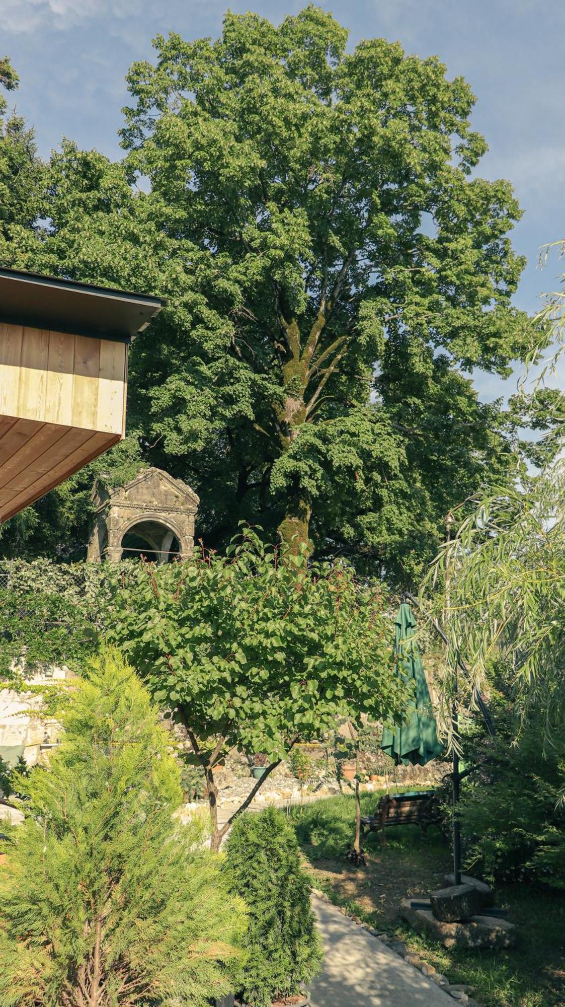 Garden Rooms In Кутаиси Экстерьер фото